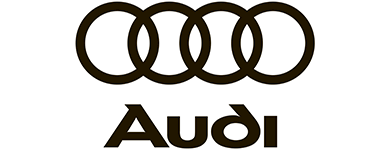AUDI AUDI